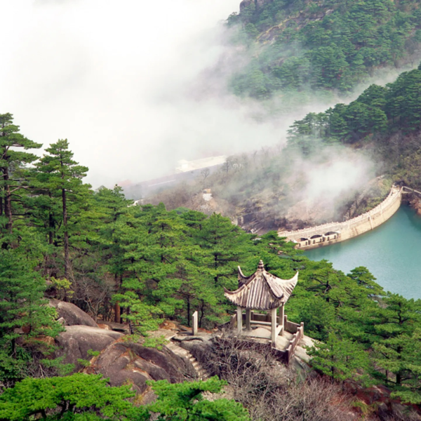 Difusor Auto Premium